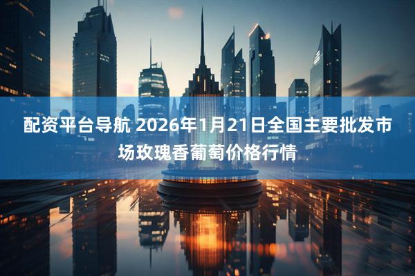配资平台导航 2026年1月21日全国主要批发市场玫瑰香葡萄价格行情