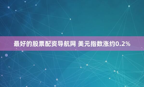 最好的股票配资导航网 美元指数涨约0.2%